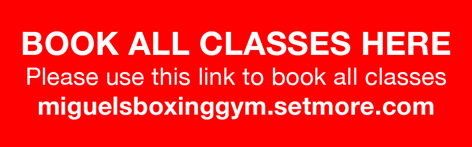 Book classes online at miguels boxing gym 